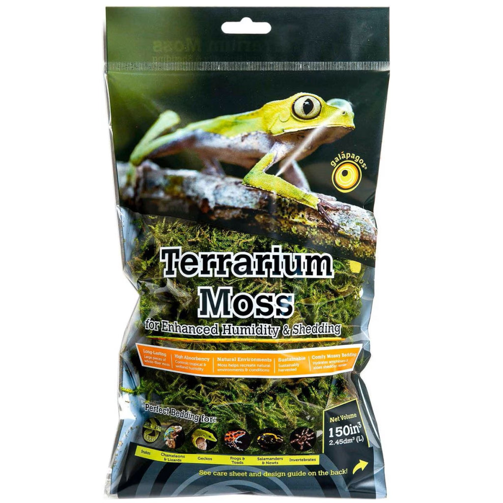 terrarium sphagnum moss for plants Galapagos Terrarium Green Sphagnum Moss