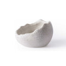 Galapagos Ceramic Egg Dish
