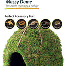 Galapagos Mossy Dome Terrarium Hideaway For Reptiles & Amphibians
