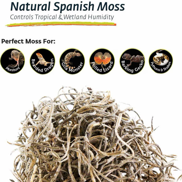 Moss Substrate Galapagos Natural Spanish Moss for Terrariums & Reptiles