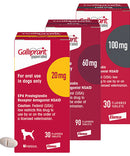 Galliprant 20mg, 60mg, and 100mg for dogs in various tablet strengths