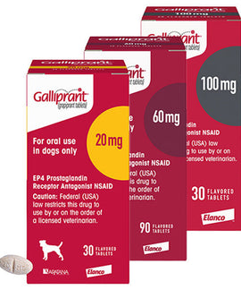 Galliprant 20mg, 60mg, and 100mg for dogs in various tablet strengths