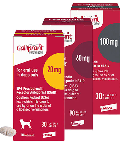 Galliprant 20mg, 60mg, and 100mg for dogs in various tablet strengths