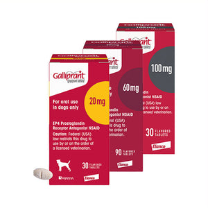 Galliprant (Grapiprant) Flavored Tablets for Dogs