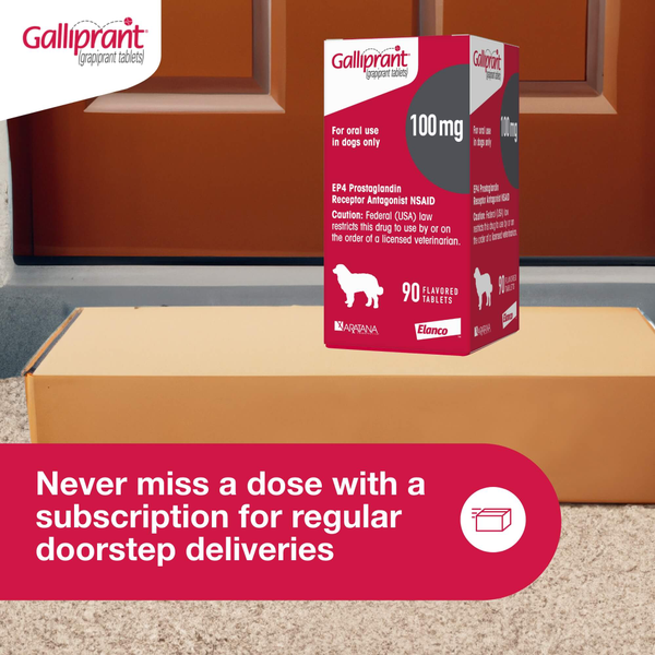 Galliprant Flavored Tablets for Dogs | 20mg,60mg & 100mg