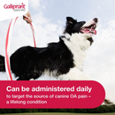 Vet Approval recommended for galliprant and it can be administered daily