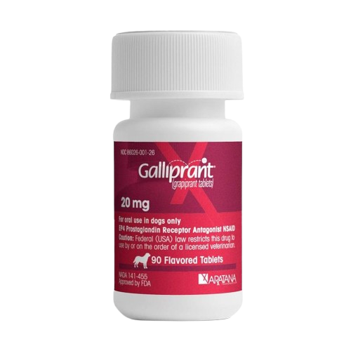 Galliprant vs Rimadyl - Best NSAID for Dog Arthritis Relief