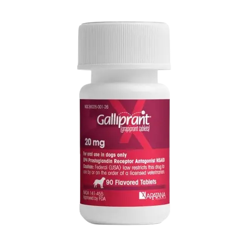 Galliprant vs Rimadyl - Best NSAID for Dog Arthritis Relief