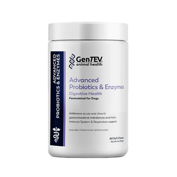 Gentev Advanced Probiotics & Enzymes Soft Chews for Dogs 60 Count - Probiotic Chews 1
