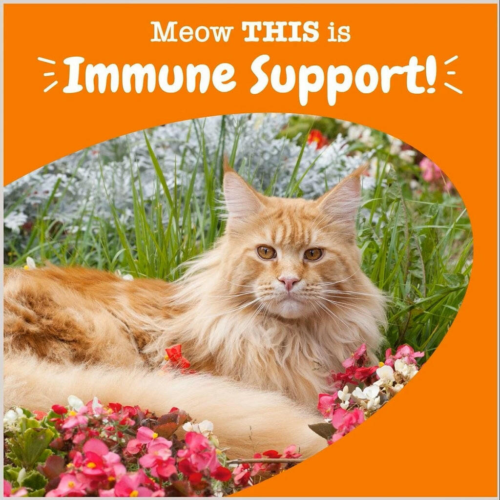 Zesty Allergy Immune Bacon Flavor Supplement For Cat (60 ct)