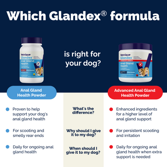 anal gland health power formula