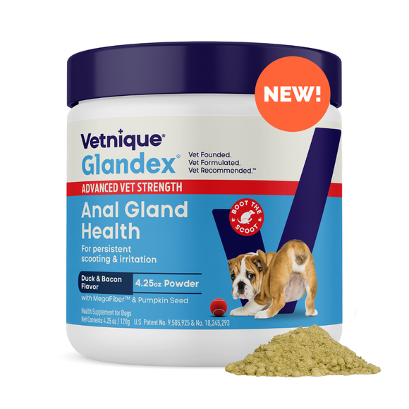 Glandex Advanced Vet Strength Anal Gland Health Powder for dogs 
