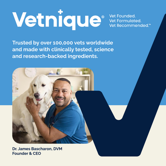 vetnique Glandex  Anal Gland Health Wipes 