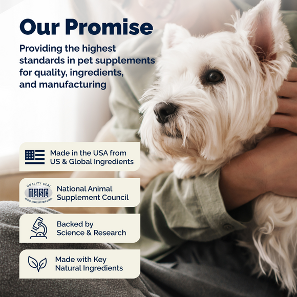 Vetnique Glandex promise of quality 
