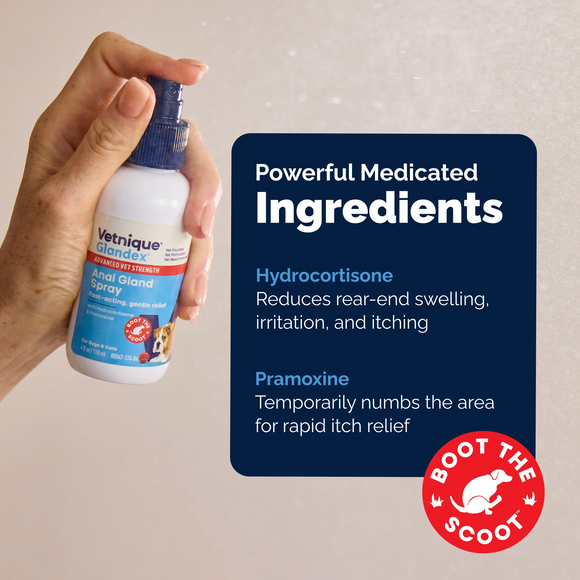 Glandex Advanced Vet Strength Anal Gland Medicated Itch Relief Spray for Dogs & Cats (4 oz) - All Dog & Cat Grooming 3