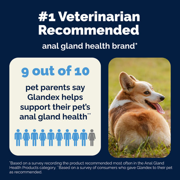happy dog parents rating for Glandex Anal Gland Health Powder Supplement for Dogs