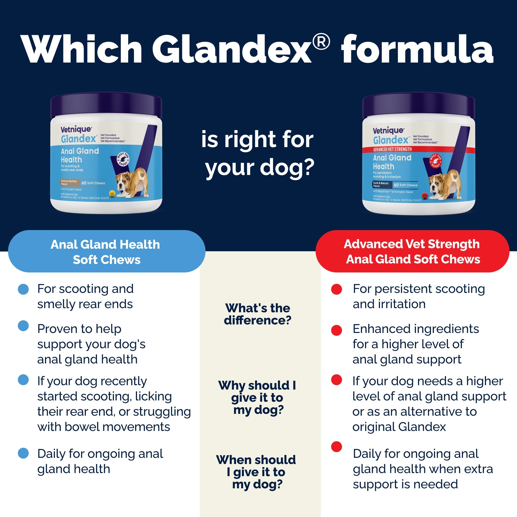 Glandex Anal Gland Support Bacon Flavored Soft Chews for