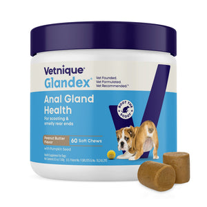 Glandex Anal Gland Support Peanut Butter Soft Chews for Dogs - 60 soft chews - Dog Supplements & Vitamins 1