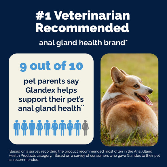 Glandex Anal Gland Support Peanut Butter Soft Chews for Dogs - Dog Supplements & Vitamins 8