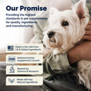 Glandex Anal Gland Support Peanut Butter Soft Chews for Dogs - Dog Supplements & Vitamins 12