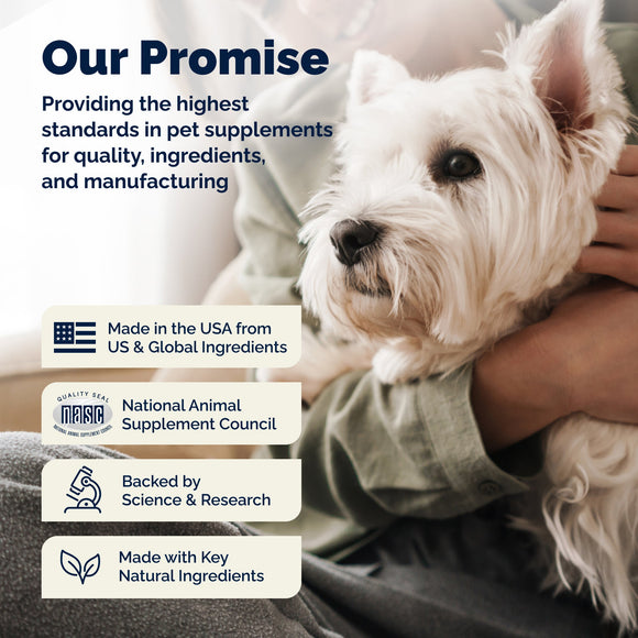 Glandex Anal Gland Support Peanut Butter Soft Chews for Dogs - Dog Supplements & Vitamins 12