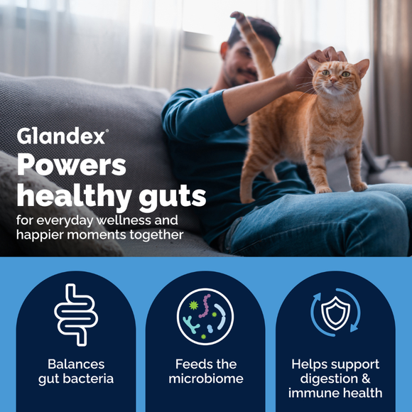 Glandex Daily Prebiotic & Probiotic Powder for Cats Tuna Flavor 4 oz - Cat Digestive & Probiotics Supplements 4