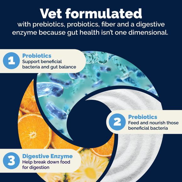 Glandex Daily Prebiotic & Probiotic Powder for Cats Tuna Flavor 4 oz - Cat Digestive & Probiotics Supplements 7