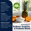 Glandex Daily Prebiotic & Probiotic Powder for Cats Tuna Flavor 4 oz - Cat Digestive & Probiotics Supplements 6