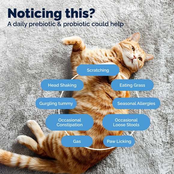 Glandex Daily Prebiotic & Probiotic Powder for Cats Tuna Flavor 4 oz - Cat Digestive & Probiotics Supplements 5