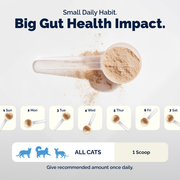 Glandex Daily Prebiotic & Probiotic Powder for Cats Tuna Flavor 4 oz - Cat Digestive & Probiotics Supplements 11