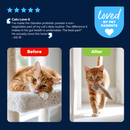 Glandex Daily Prebiotic & Probiotic Powder for Cats Tuna Flavor 4 oz - Cat Digestive & Probiotics Supplements 10