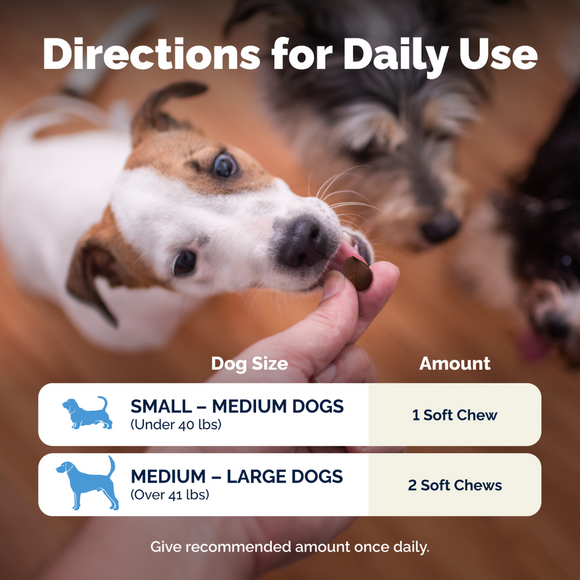 direction for daily use chart for medium and large dogs
