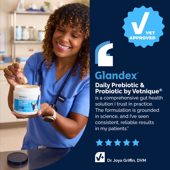 Glandex Daily Prebiotic & Probiotic Supplement Powder for Dogs Pork Flavored - Probiotic Supplement 9