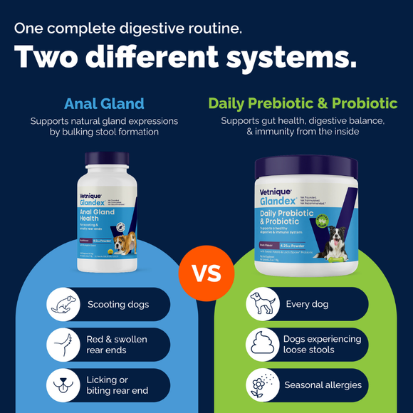 Glandex Daily Prebiotic & Probiotic Supplement Powder for Dogs Pork Flavored - Probiotic Supplement 12