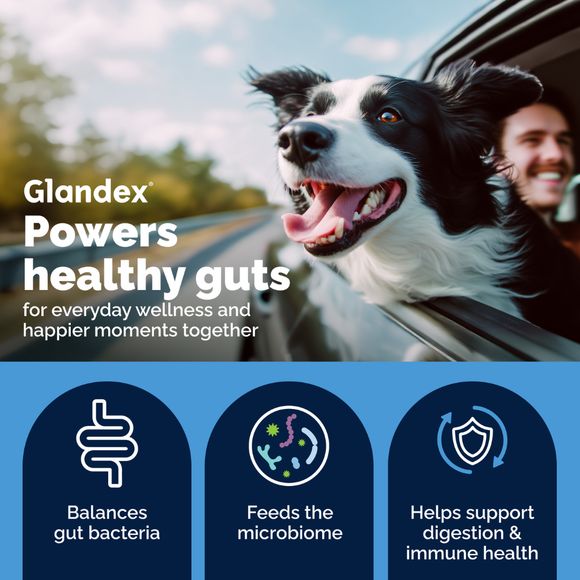 Glandex Daily Prebiotic & Probiotic Supplement Powder for Dogs Pork Flavored - Probiotic Supplement 3