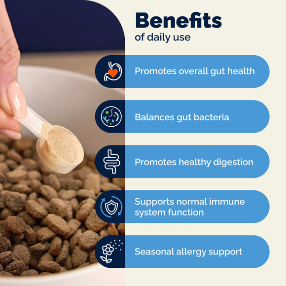 Glandex Daily Prebiotic & Probiotic Supplement Powder for Dogs Pork Flavored - Probiotic Supplement 6