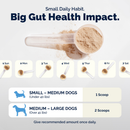 Glandex Daily Prebiotic & Probiotic Supplement Powder for Dogs Pork Flavored - Probiotic Supplement 10