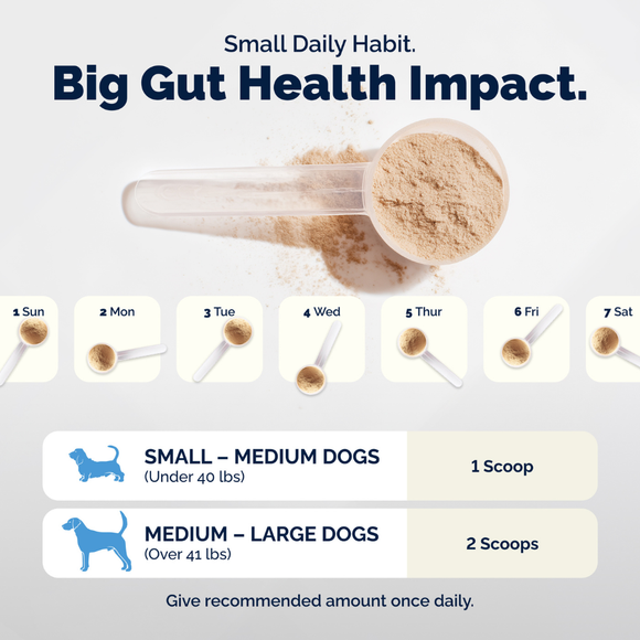 Glandex Daily Prebiotic & Probiotic Supplement Powder for Dogs Pork Flavored - Probiotic Supplement 10