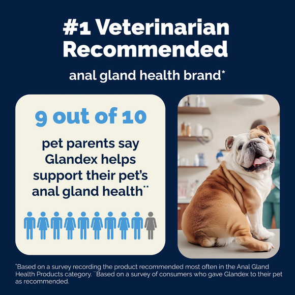 Glandex Max Vet Strength Anal Gland Health for Dogs 60 Soft Chews - Dog Vitamins & Supplements 7