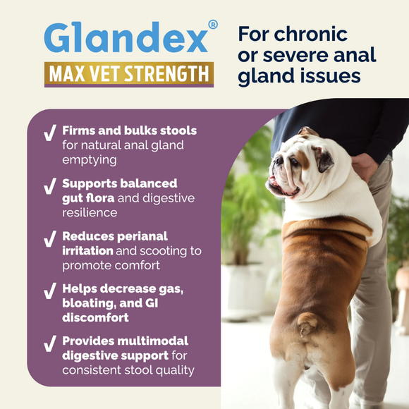 Glandex Max Vet Strength Anal Gland Health for Dogs 60 Soft Chews - Dog Vitamins & Supplements 3