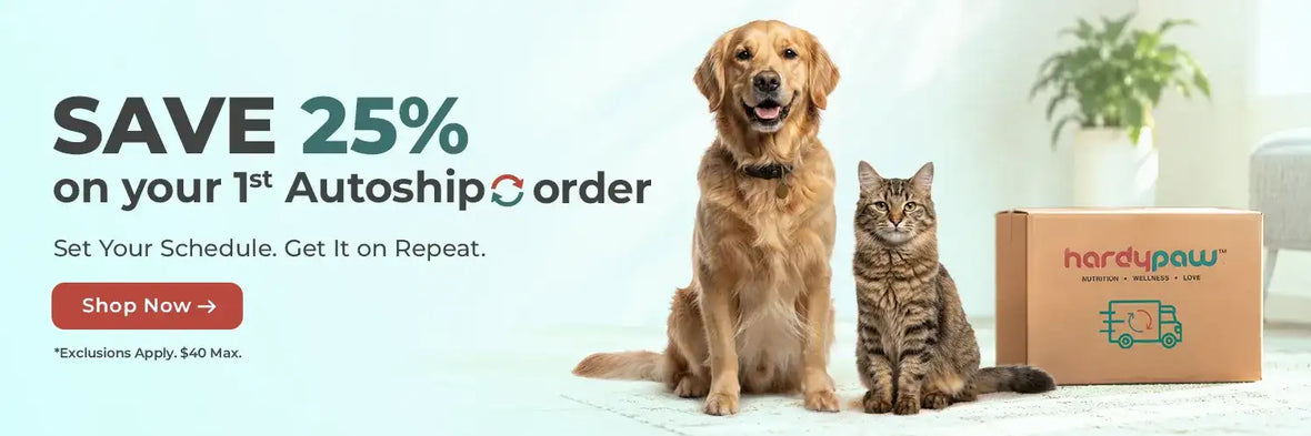 Golden retriever with a black collar sits beside a tabby cat next to a brown cardboard box labeled ’hardypaw’.