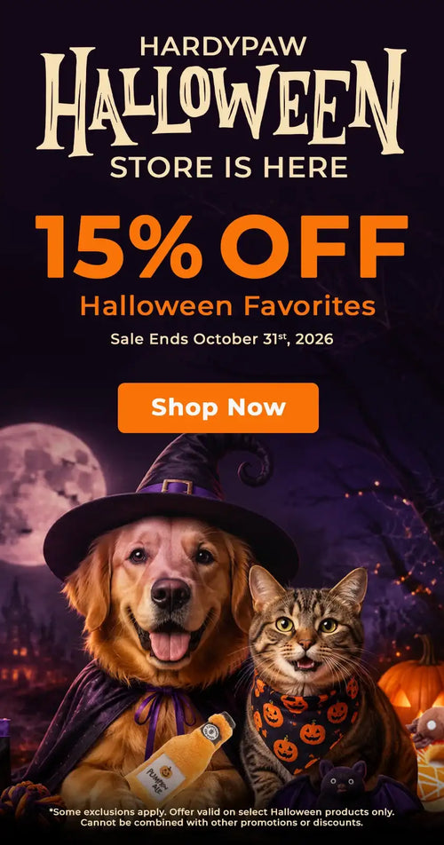 A golden retriever wearing a black witch’s hat and purple cape holds an orange bottle of purrfect pet treats, while sitting beside a tabby cat in a pumpkin-patterned bandana.
