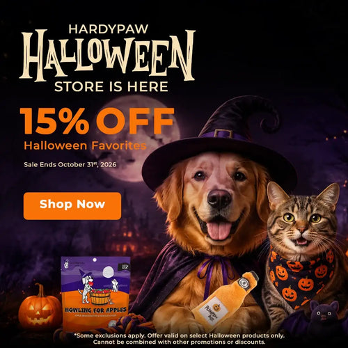 A golden retriever wearing a black witch’s hat and purple cape, holding an orange pumpkin-shaped bottle of “pumpkin ale” with a white label.