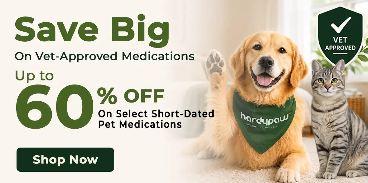 Golden retriever wearing a green bandana with ’hardypaw’ printed on it.