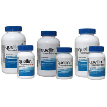 Quellin (Carprofen) Soft Chews for Dogs