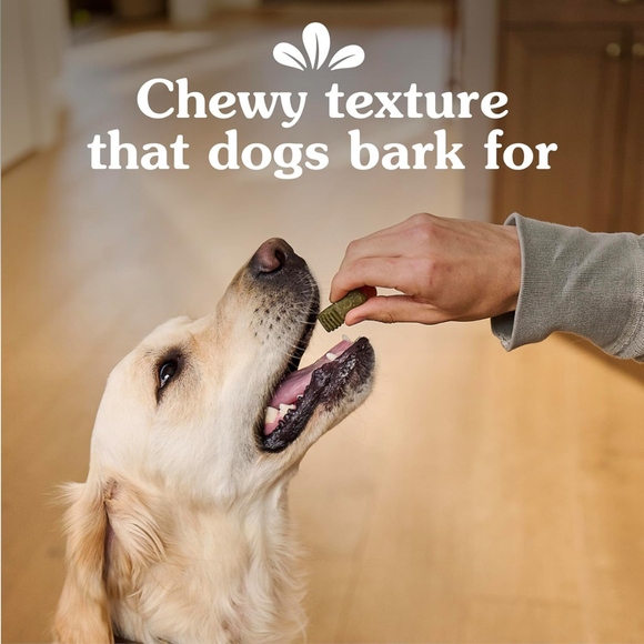 Greenies Anytime Bites Bite-Size Dog Dental Treats (10.3 oz) Original Flavor - Dog Treats 6