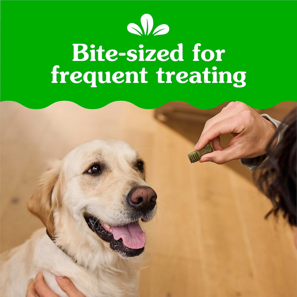 Greenies Anytime Bites Bite-Size Dog Dental Treats (10.3 oz) Original Flavor - Dog Treats 3