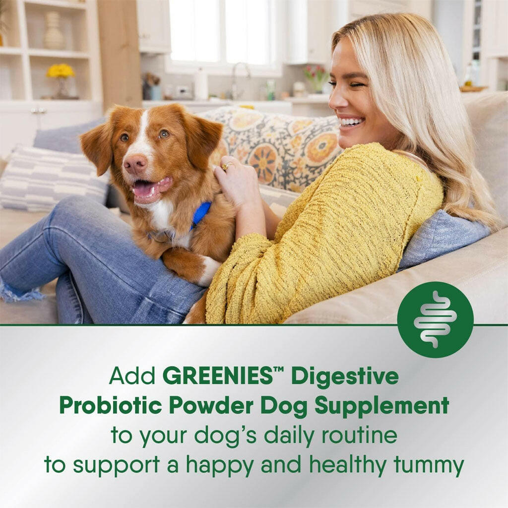 Clinical Strength Digestive Support: Greenies for Dogs | HardyPaw