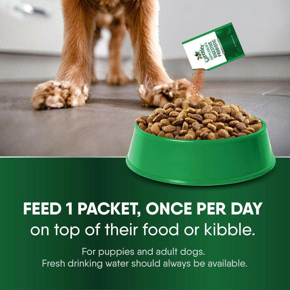 best probiotic for dogs with yeast and allergies