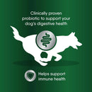 pre probiotic for dogs